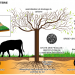Agroforesterie : l&rsquo;UJLoG abrite une formation pratique